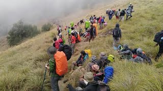 RATUSAN PENDAKI TERJEBAK DI DANAU SEGARA ANAK RINJANI [upl. by Dagnah]