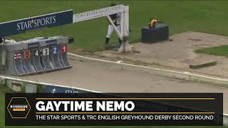 Gaytime Nemo  The Star Sports amp TRC English Greyhound Derby [upl. by Shelley]