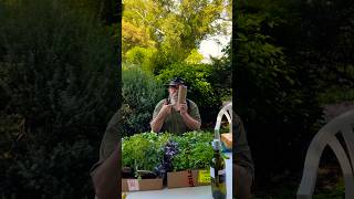 Planting Seeds of Joy A Community Garden Open Day [upl. by Yelrak]