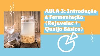 AULA 3  CURSO DE QUEIJOS VEGANOS Introdução à Fermentação Rejuvelac  Queijo Fermentado Básico [upl. by Noreg]