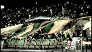 ALDOSIVI  ARGENTINOS JUNIORS  SANGRE VERDE TV [upl. by Beret429]