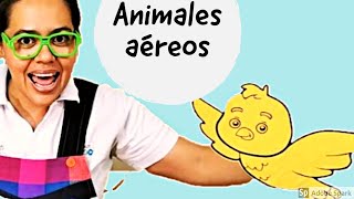 54 ANIMALES AEREOS [upl. by Payne]