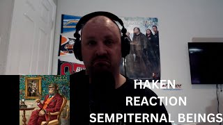 Haken REACTION Sempiternal Beings quotTalking New Metal Musicquot [upl. by Tiana]