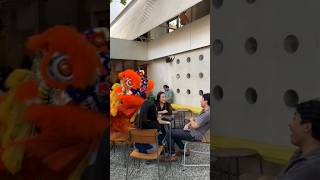 lion dance Wang Wu Shi so cute 😍 barongsai liondance chinesenewyear sewabarongsai reels [upl. by Wise]