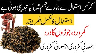 KamarKas Ke Fayde How To Use Kamarkas  KamarKas Benefits in UrduHindi Kamar Kass ki Barfi recipe [upl. by Seana425]