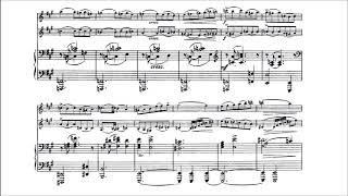 Sitt Hans Concertino for 2 Violins and Piano Op133 [upl. by Ecidnac]