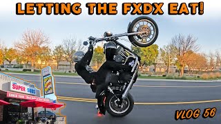 Letting the FXDX EAT Vlog 56 [upl. by Ecnedac615]