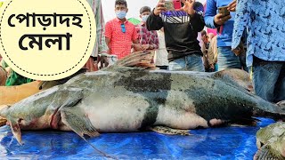 ঐতিহ্যবাহী পোড়াদহ জামাই মেলা  Worlds Biggest Fish Festival  Bogura Poradaho Mela [upl. by Sabec]