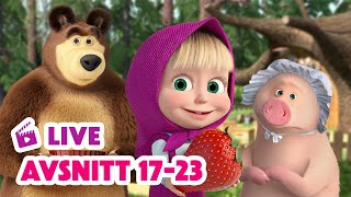 🔴 LIVE Masha och Björnen 🐻👧 Alla avsnitt på rad 17–23 🥣 👗 Masha and The Bear [upl. by Justis]