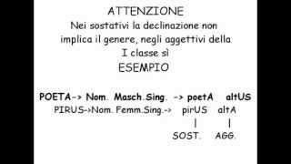 Gli aggettivi della prima classe  lezioni di latino Tubedocet [upl. by Nrubloc873]