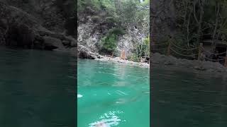 Swimming With Ducks Goynuk Canyon Park Blue Lagoon shorts Turkish Boohing [upl. by Guibert]