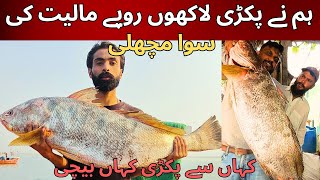 We Caught Suwa Meagre Croaker Fish in Karachi  Suwa Caught from Charna  Karachi fishing 2023 [upl. by Vachil]