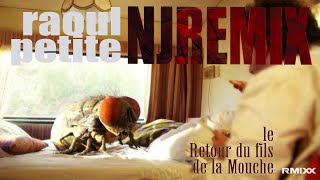 Raoul PetiteLe retour du fils de la mouche NJ Remix [upl. by Baum]