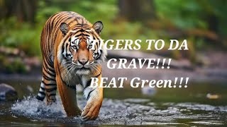 Massillon Tiger Football playoffs 2023 Beat Green hype [upl. by Christoph]