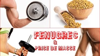 graines germées Le fenugrec anabolisant naturel 🌱 jalimente ma santé [upl. by Tik]