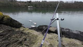 uk sea fishing on the Menai straights with gamekeeper John and Tommy the turd [upl. by Haleak]