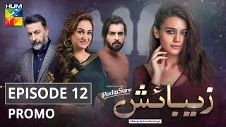 Zebaish  Episode 12  Promo  Digitally Powered by PediaSure  HUM TV  Drama [upl. by Winna451]