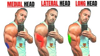 15 BEST TRICEP EXERICES AT GYM [upl. by Manwell]