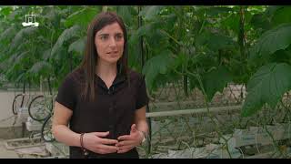 Autonomous Greenhouses AGROS validation trial 2023 [upl. by Alleira]