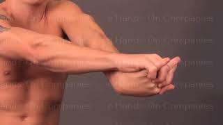 Brachioradialis Self Stretch Exercise  Using your hands [upl. by Arvin543]