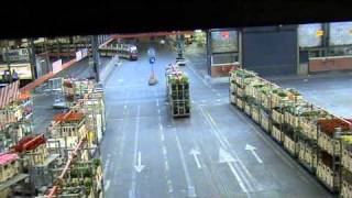 Aalsmeer Flower Market Operations [upl. by Eessej]