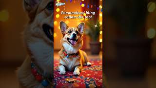 Want to pamper your dog this festive season petstarmankind [upl. by Aedrahs984]