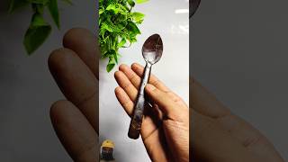 Coconut shell spoon making 🥥👈 diy craft shortsfeed shorts art [upl. by Asertal]