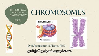 Chromosomes CBMPPart3Tamil [upl. by Noedig]