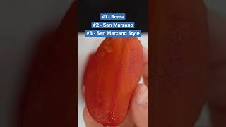 Are San Marzano Tomatoes better than US Tomatoes [upl. by Bramwell]