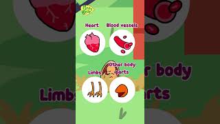 Learn about Chickens  Kids Content  Shorts [upl. by Ellinehc]