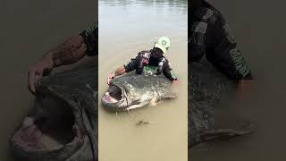 World Record Catfish  Caught on a Cannibal shad and SGS8 Reel [upl. by Gnni]