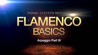 Ortega Academy  Flamenco basics PART THREE  Frank Steffen Mueller [upl. by Sewoll]