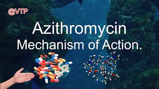 Azithromycin Mechanism of Action [upl. by Neelya]