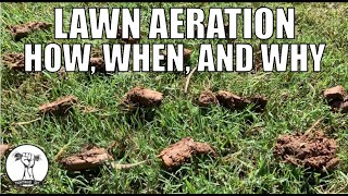 How to Aerate a Lawn  How Why and When to Aerate  Lawn Aeration [upl. by Pohsib851]