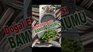 BAMYA TOHUMU DOĞAL EKLEM SIVISI Okra SEED NATURAL JOINT FLUID [upl. by Justin]