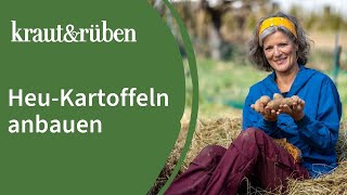 Heukartoffeln anbauen🥔 Kartoffeln anbauen ohne großes Feld [upl. by Erdnassac]