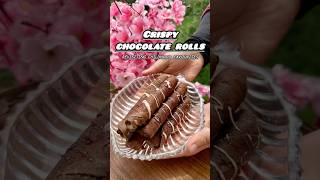 Delicious and Crispy Chocolate RollsLet’s Revisit Our ChildhoodChocolate Wafer Rollsshortsfyp [upl. by Llehcram]