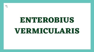 Enterobius Vermicularis  Pin Worms  Enterobiasis  Nematodes  Parasitology [upl. by Adlay]