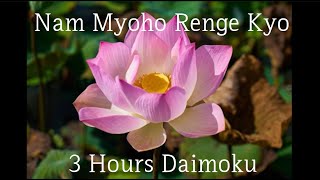 Nam myoho renge kyo 3 hours Diamoku [upl. by Eigna]