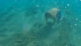 Diving for rocks and running underwater in seethru blue Hawaiian waters of Oahus West coast [upl. by Reste307]