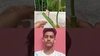 Bamboo creations with new slingshot🙏♥️❤️fun viralvideo comedyvideo beautiful newsong travel [upl. by Asirahc]