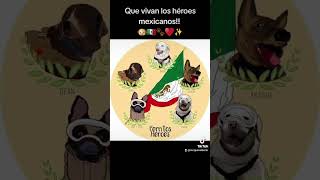 Que vivan los héroes mexicanos 🐶🇲🇽🐾♥️✨ [upl. by Eanar611]