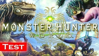 MONSTER HUNTER WORLD un BON ou un MAUVAIS CHASSEUR [upl. by Eimmas157]