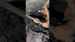 Amazing Process of Coal mining shorts amazing [upl. by Ettenirt]