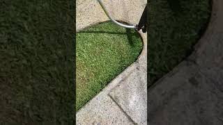 How to edge your lawn using a whipper snipper [upl. by Raffin]