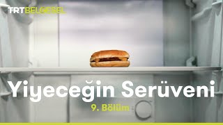 Yiyeceğin Serüveni  Dondurulmuş Gıdalar  TRT Belgesel [upl. by Ede311]