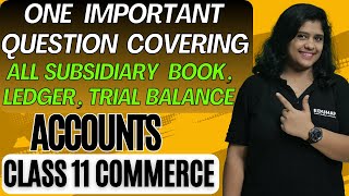 One Important Question Covering All Subsidiary Book Ledger Trial Balance  Class 11 Commerce [upl. by Mano]