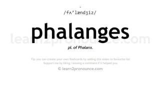 Pronunciation of Phalanges  Definition of Phalanges [upl. by Nnomae]