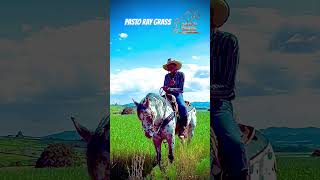 PASTO RAY GRASS LA MEJOR OPCOON PARA TU CABALLO parientesdelrancho martinloza [upl. by Nyrraf]