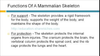 Functions Of A Mammalian Skeleton  Locomotion And Support [upl. by Kiyoshi579]